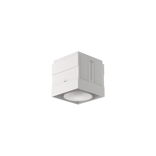 Cevon M81 Type 1 Dark Art Square Adj White 3000K