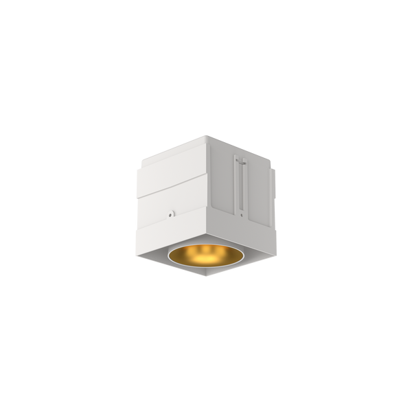 Cevon M81 Type 1 Dark Art Square Adj White, Gold 3000K