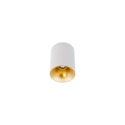 Cevon Dark Art Sml Surface Mount Downlight White, Gold 3000K