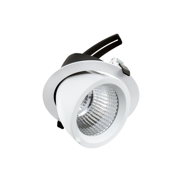 Drop Tilt/Rotate X-Large Downlight White 3000K