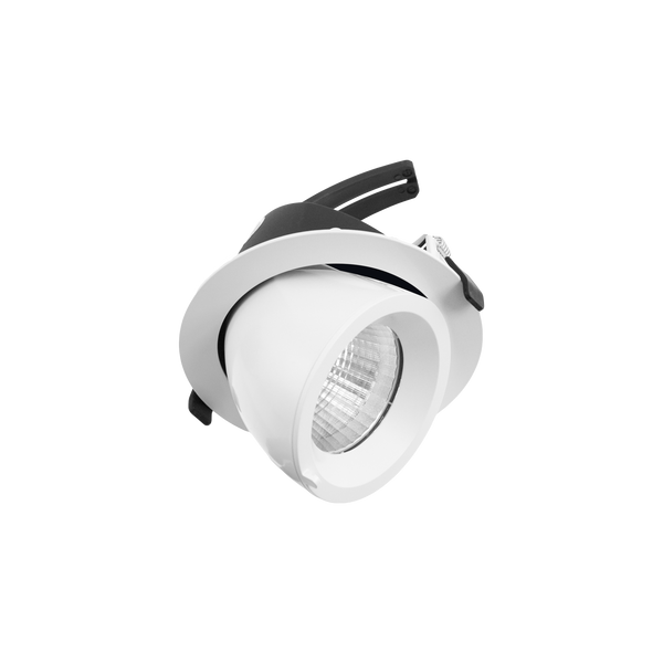 Drop Tilt/Rotate Large Downlight White 4000K