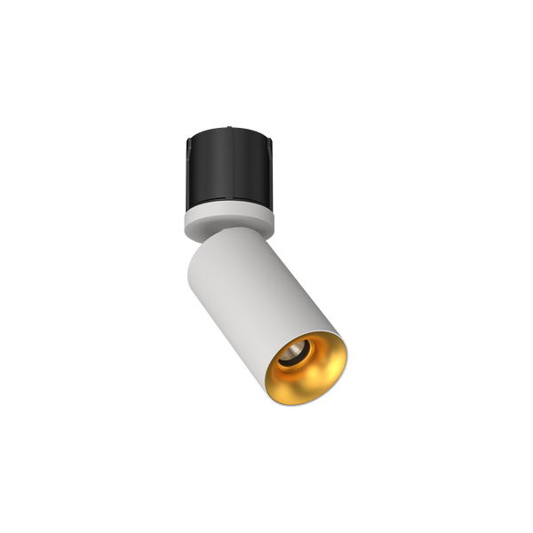 Cevon M60 Type 19 Dark Art Adjustable Spot White, Gold 3000K