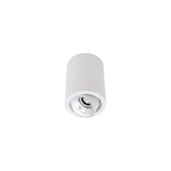Cevon Med Tilt/Rotate Surface Mt Downlight White, Silver 3000K