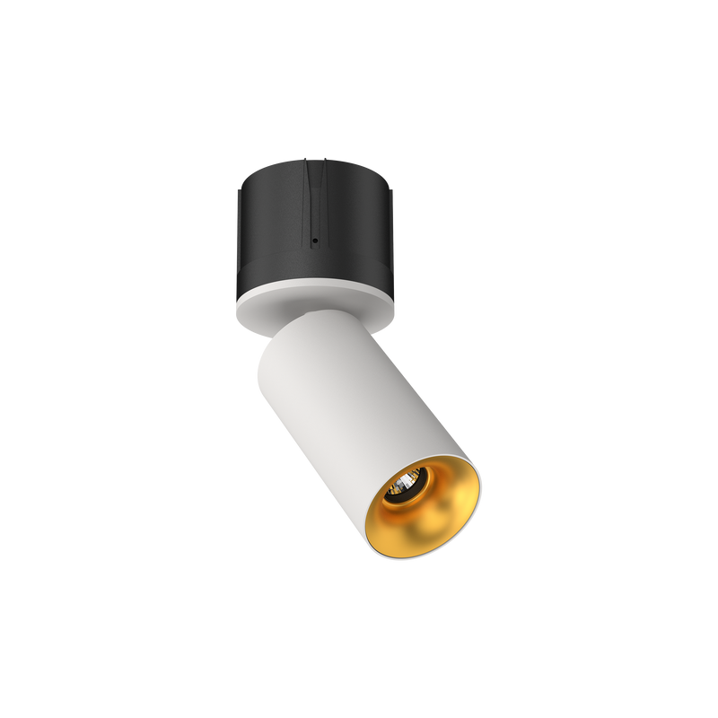 Cevon M80 Type 18 Dark Art Adj Spot White, Gold 3000K
