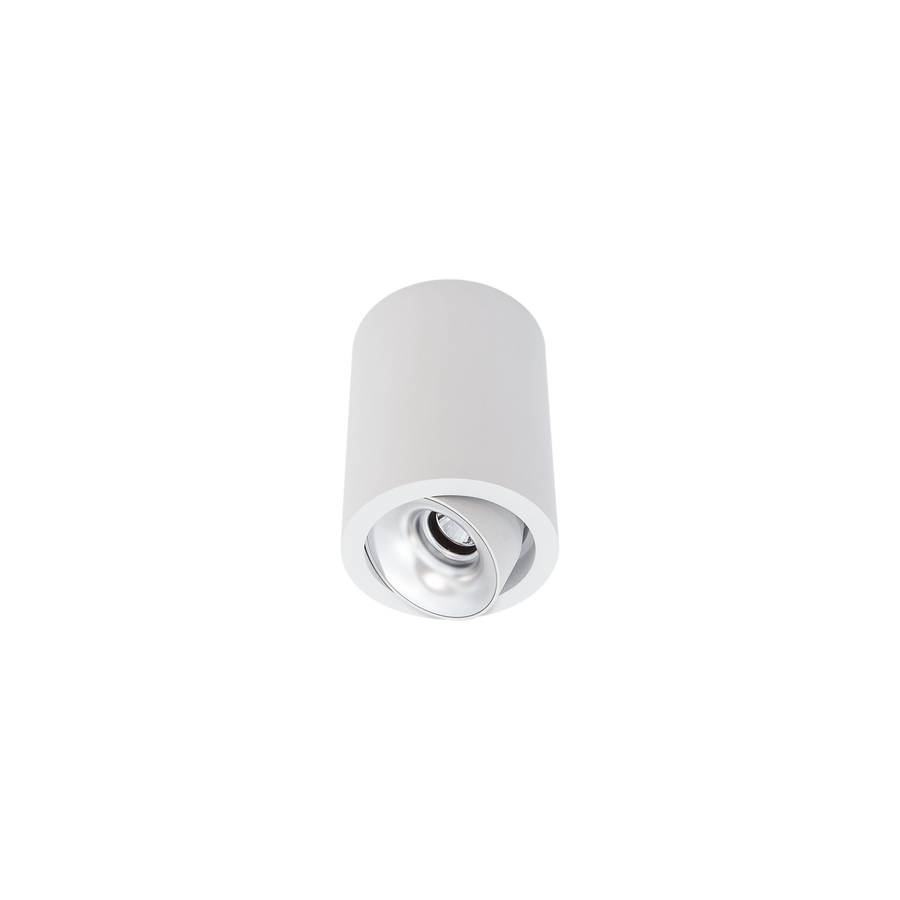 Cevon Med Tilt/Rotate Surface Mt Downlight White, Silver 3000K