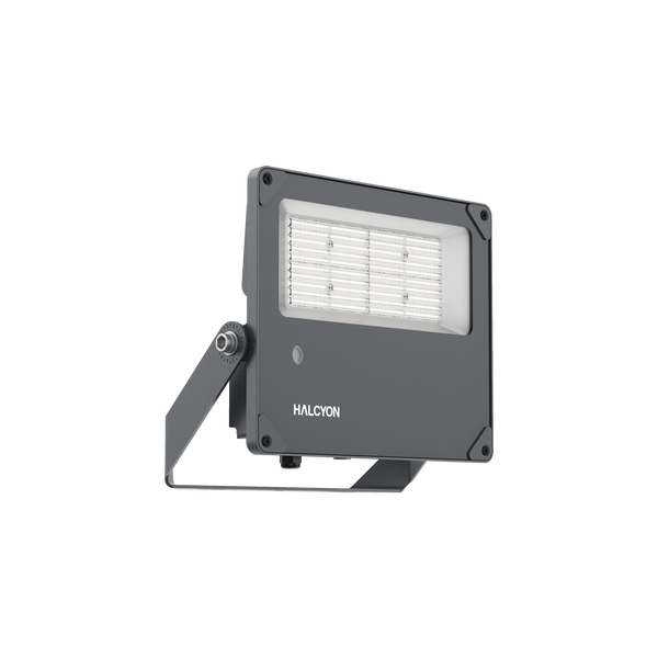 100W Morepork Exterior Flood Graphite 4000K or 5700K