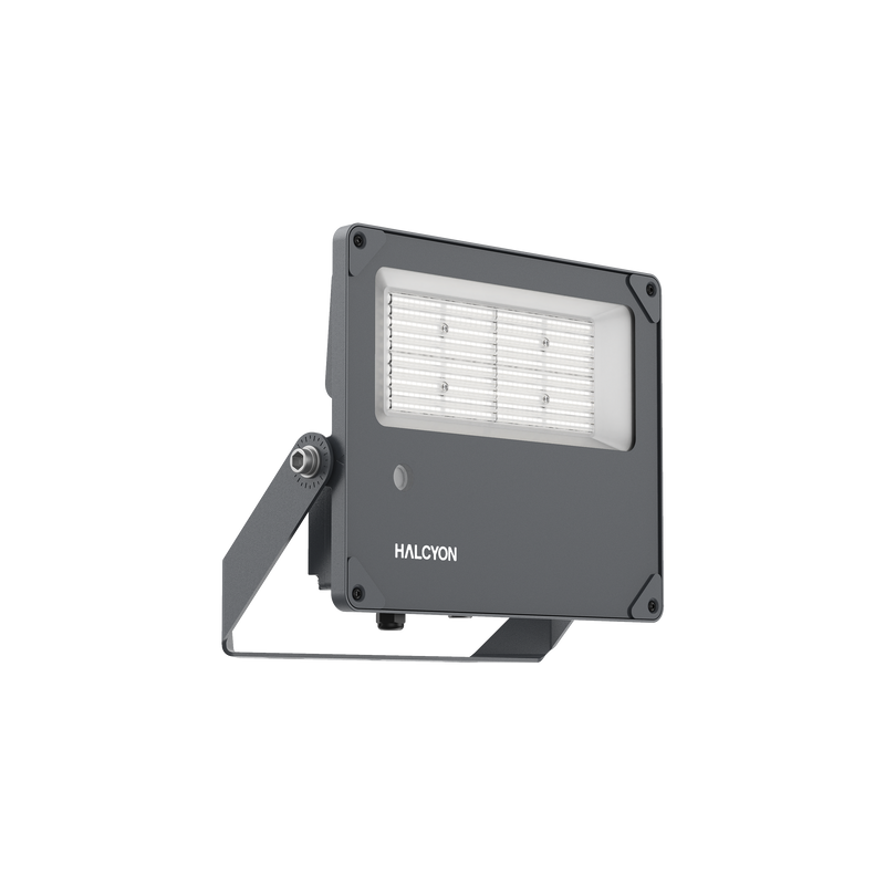 100W Morepork Asymmetric Flood 4000K / 5700K