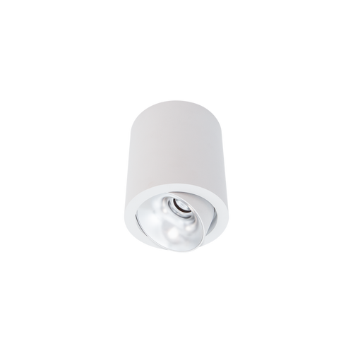 Cevon Large Tilt/Rotate Surface Mt Downlight White, Silver 3000K