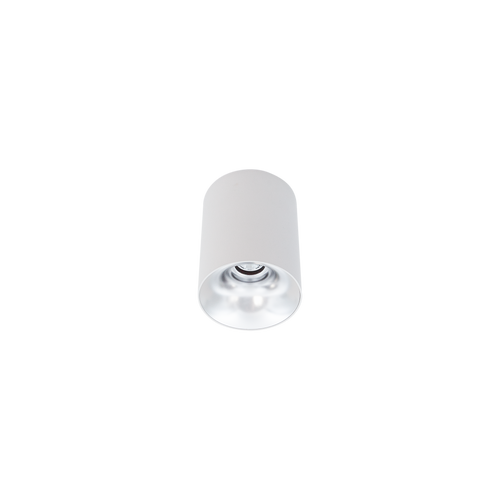 Cevon Dark Art Small Surface Mount Downlight White, Silver 3000K