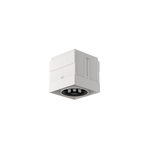 Cevon M81 Type 1 Dark Art Square Adj White, High Gloss Black 2700K