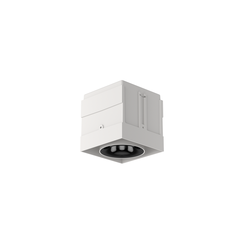 Cevon M81 Type 1 Dark Art Square Adj White, High Gloss Black 2700K
