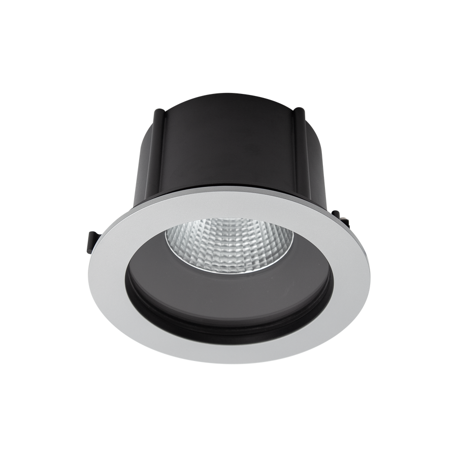 Exterior Round IP66 X-Large Downlight Silver 4000K