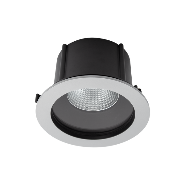 Exterior Round IP66 X-Large Downlight Silver 4000K
