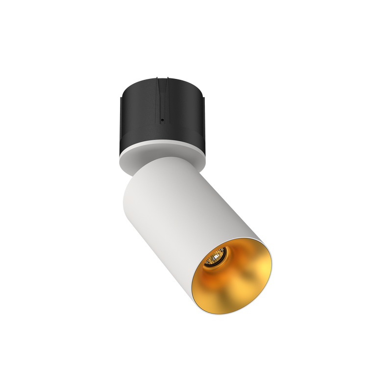 Cevon M80 Type 19 Dark Art Adj Spot White, Gold 3000K