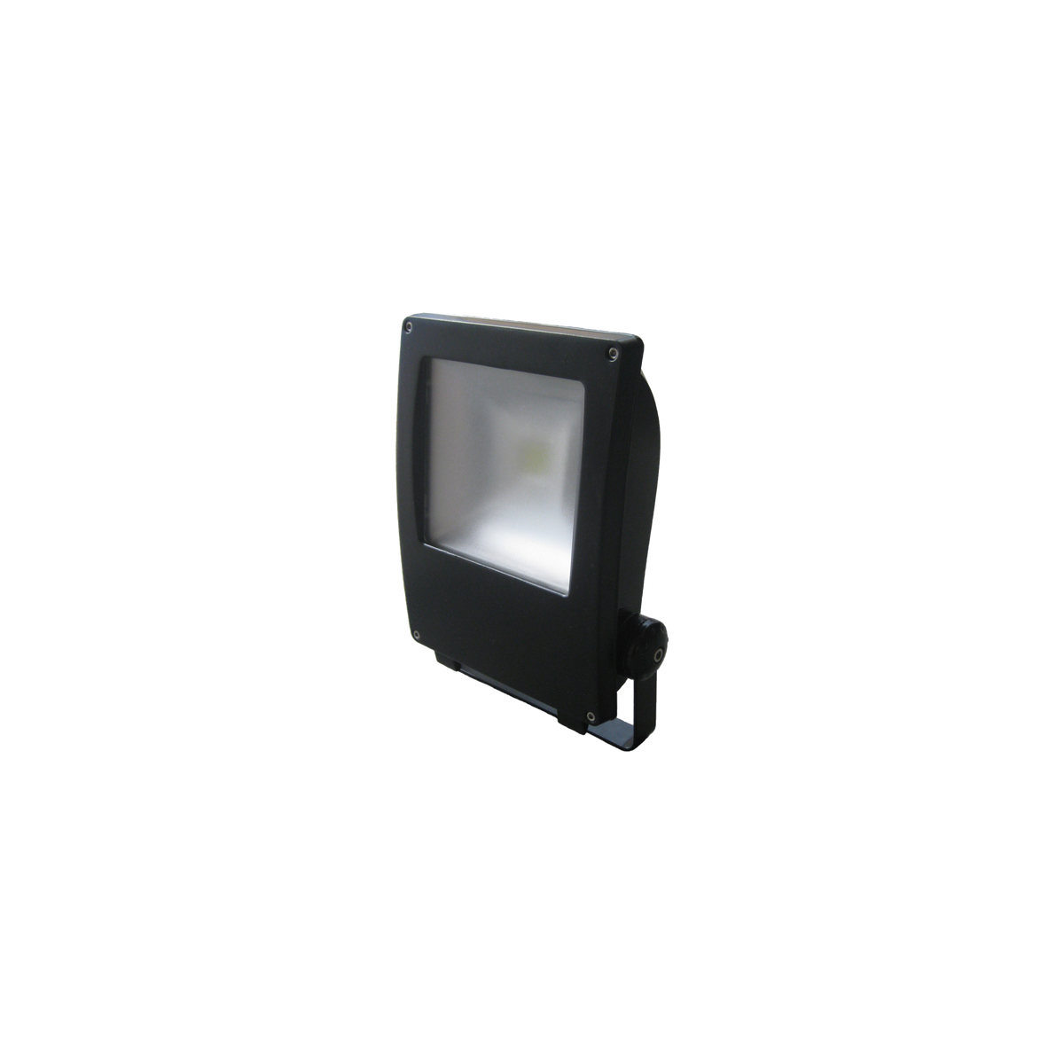 10W LED Exterior Flood Black 4000K