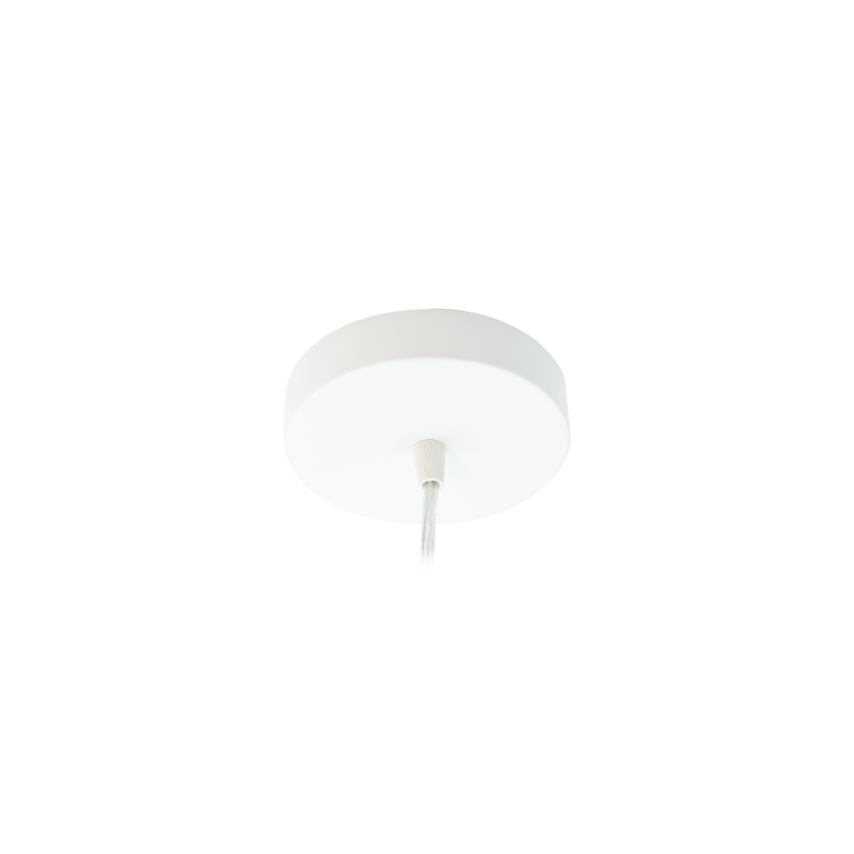 Everline Ceiling Rose White