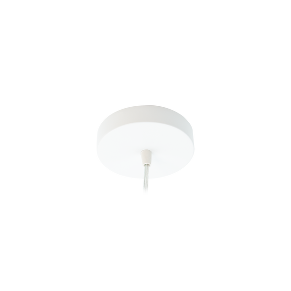 Everline Ceiling Rose White