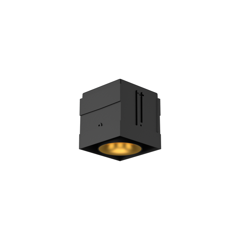Cevon M81 Type 1 Dark Art Square Adj Black, Gold 2700K