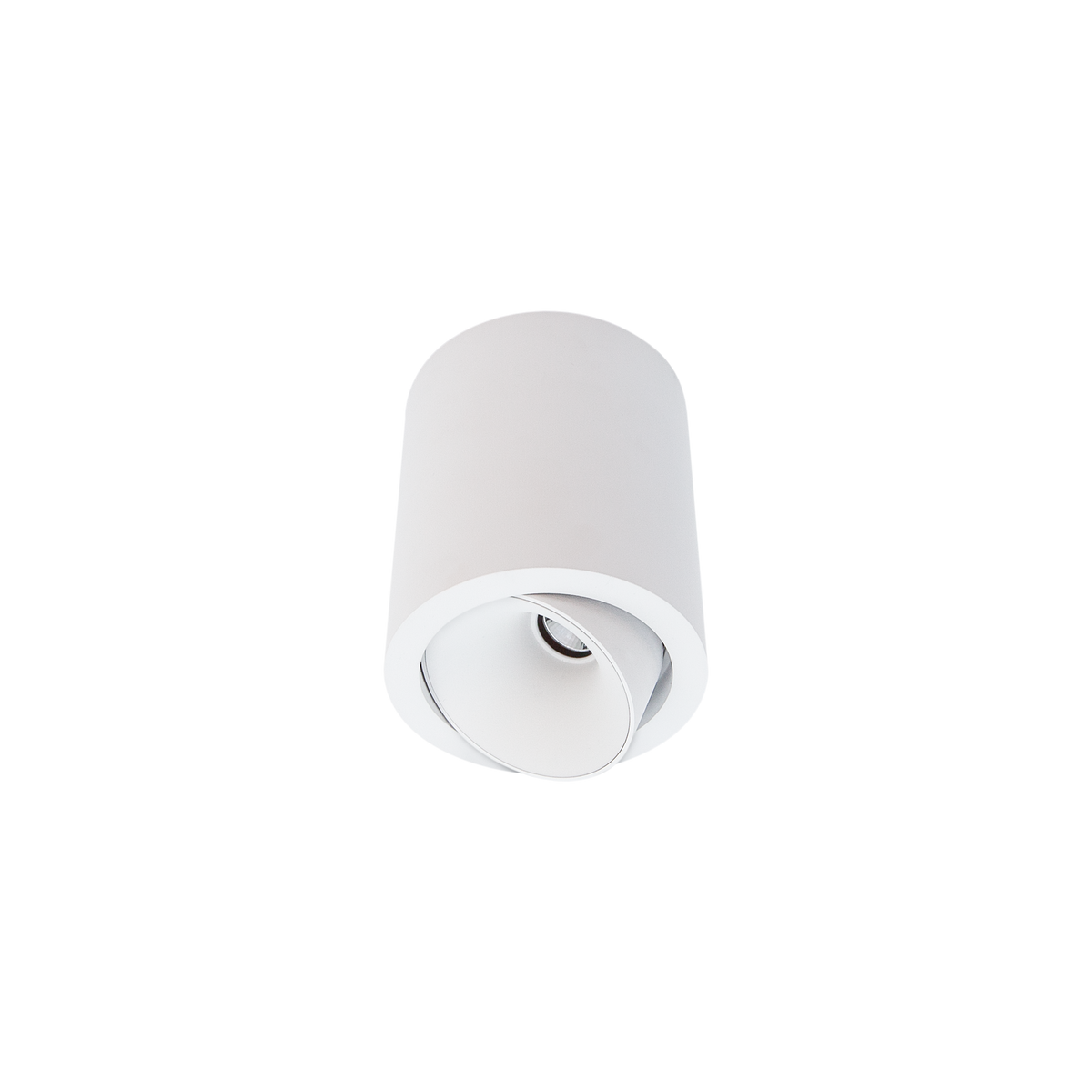 Cevon Large Tilt/Rotate Surface Mt Downlight White 3000K