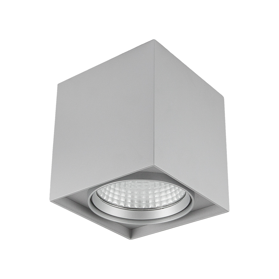 13W Decorative Surface Mount Silver 3000K