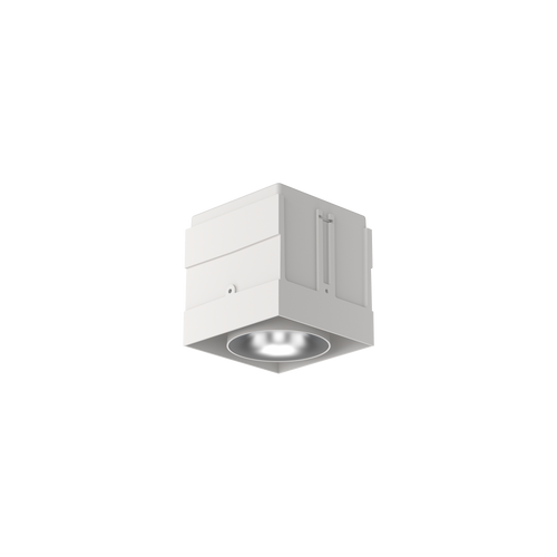 Cevon M81 Type 1 Dark Art Square Adj White, Silver 2700K