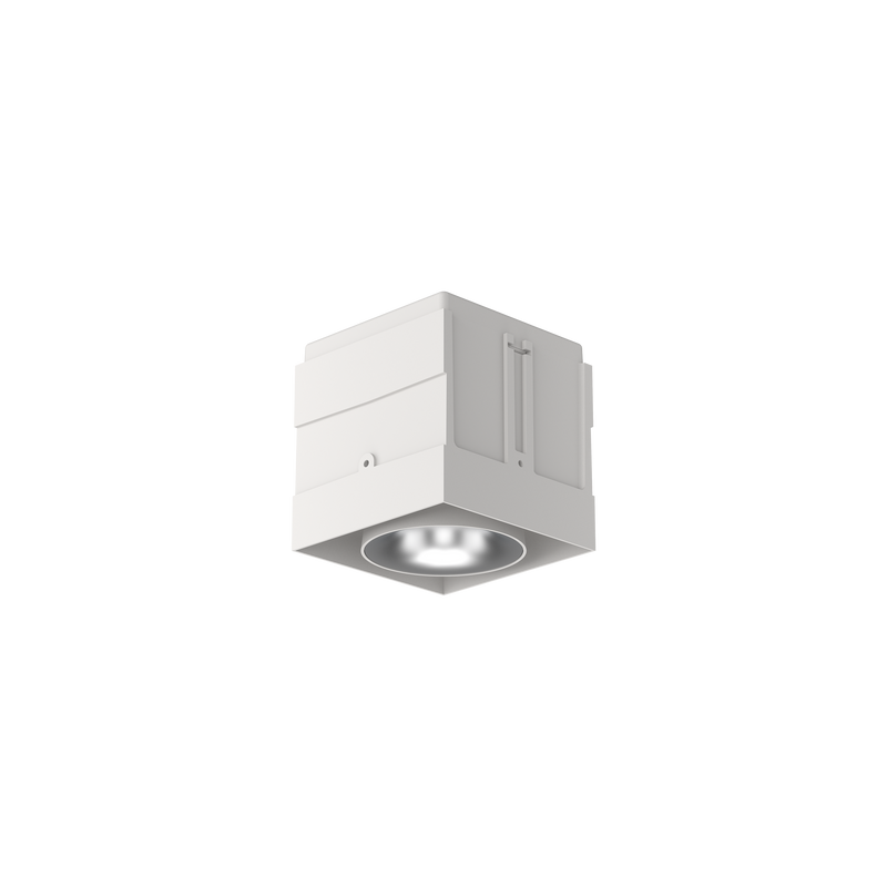 Cevon M81 Type 1 Dark Art Square Adj White, Silver 2700K