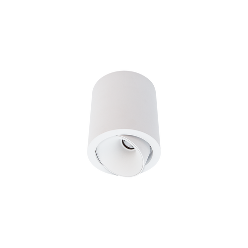 Cevon Large Tilt/Rotate Surface Mt Downlight White 3000K