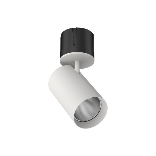 Cevon M80 Type 21 Adjustable Spot White 4000K