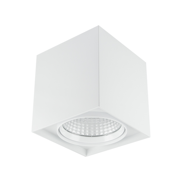 13W Decorative Surface Mount White 3000K