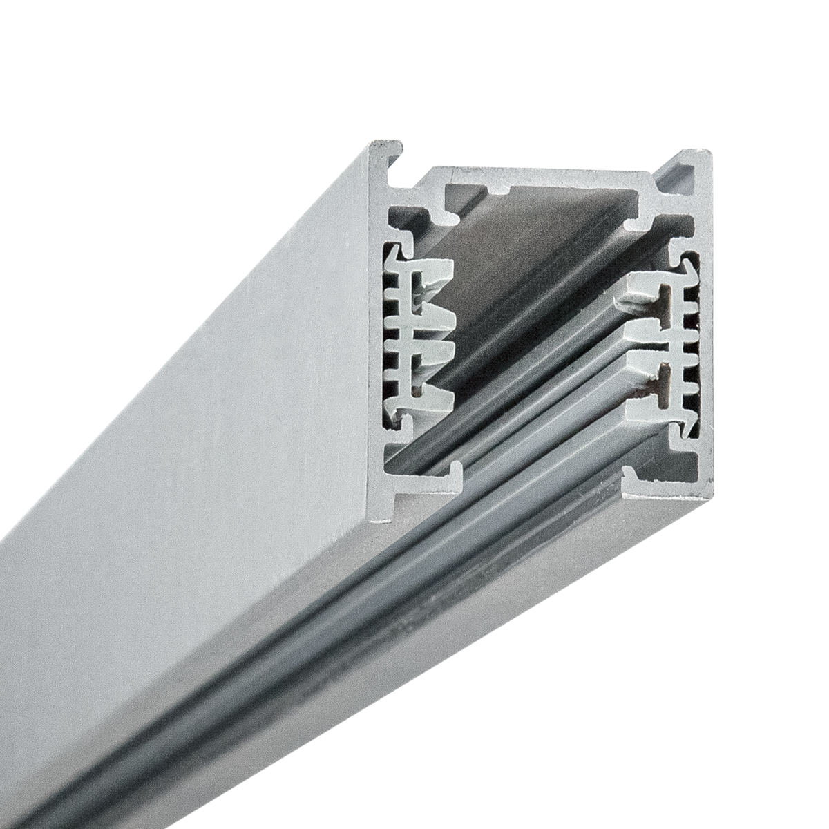 Track 3 Circuit 1M Silver