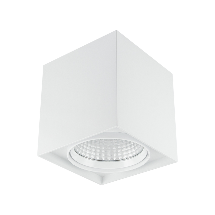 13W Decorative Surface Mount White 3000K