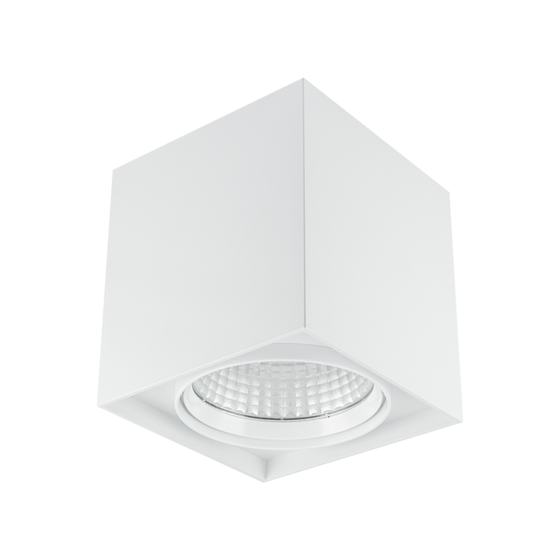 13W Decorative Surface Mount White 3000K