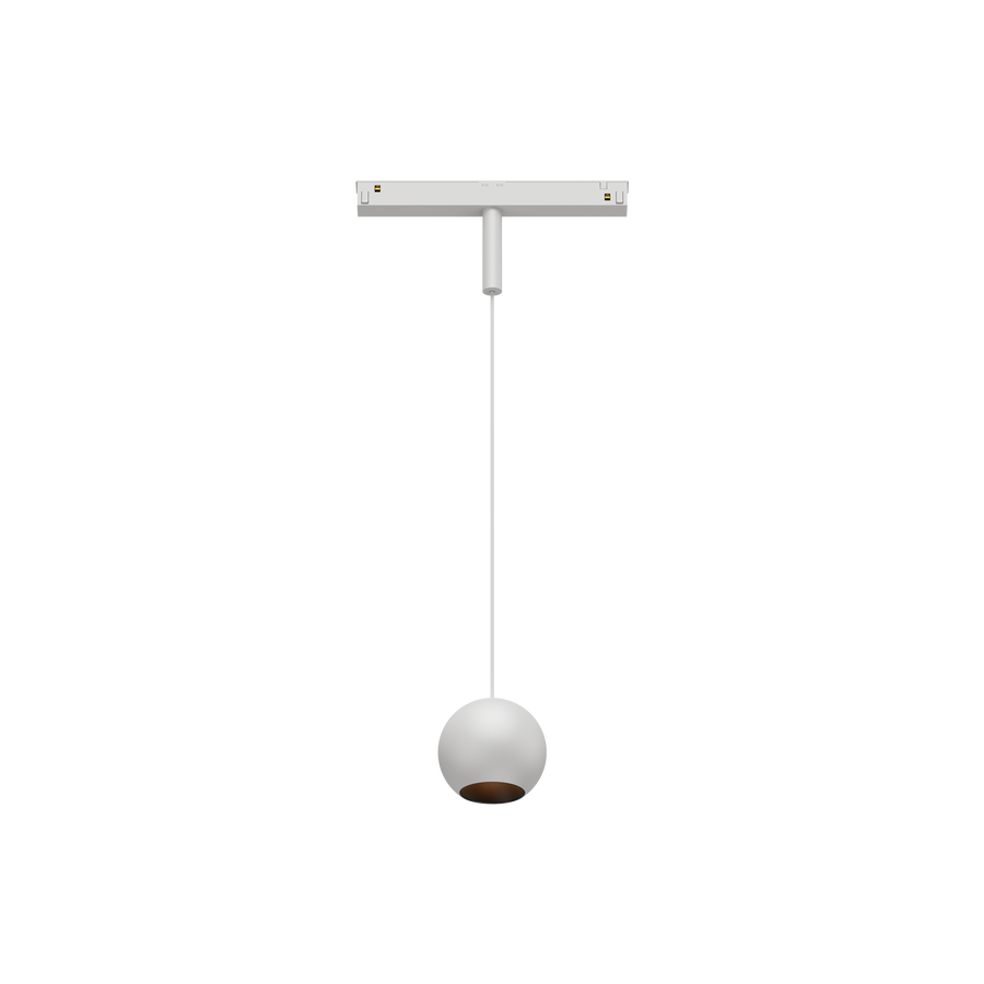 Cevon T8 48V Track Pendant Sphere White, Black