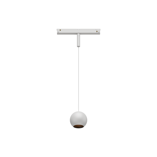 Cevon T8 48V Track Pendant Sphere White, Black