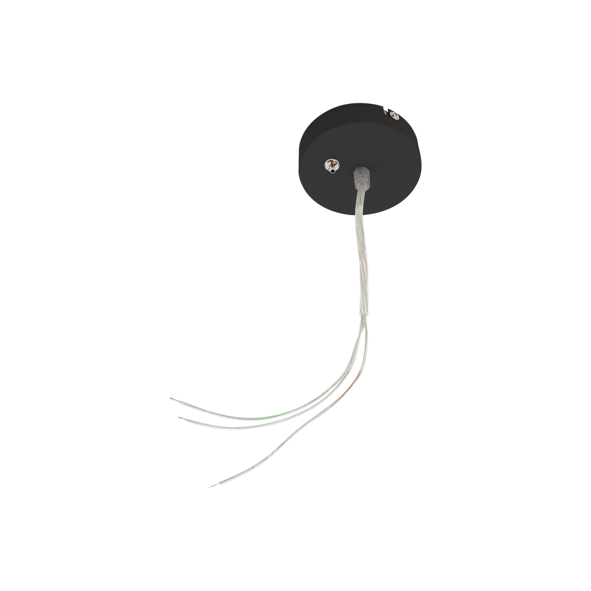 Ceiling Rose Black