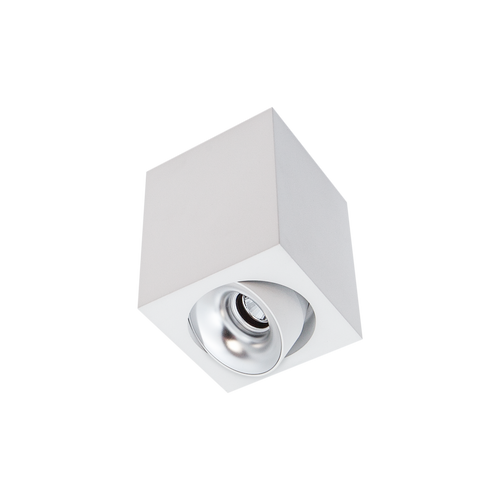 Cevon Med Square Tilt/Rotate Surface Mt Downlight White, Silver 3000K