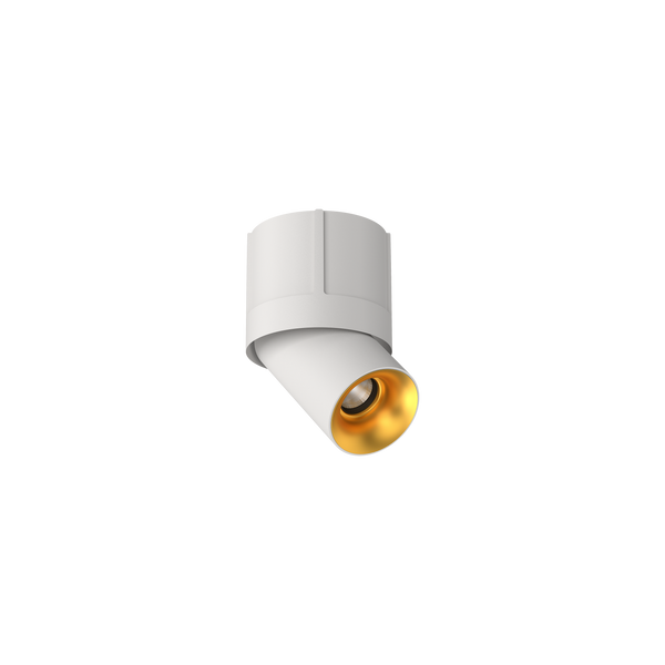 Cevon M80 Type 13 Dark Art Spot White, Gold 4000K