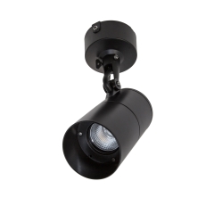Exterior Large Surface Mount Spot
