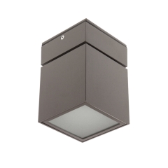 Surface Mount Ceiling Cube