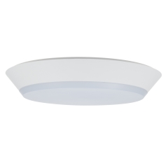 Draft 38W Dimmable