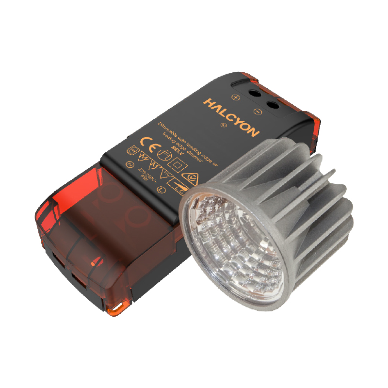 Halogen IC Conversion Kit 8W Module and Driver Halcyon Lights