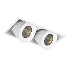 Sophia Double Tilt/Rotate Downlight Kit