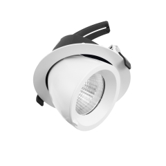 Drop Tilt/Rotate Large Downlight