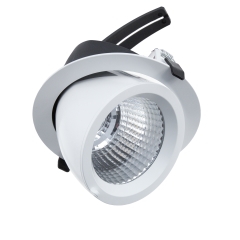 Drop Tilt/Rotate X-Large Downlight