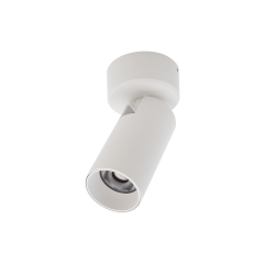 Tube Surface Mount Spot