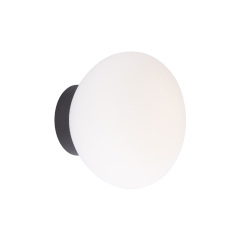 Egg Dim to Warm