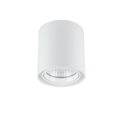 Can Surface Mount Downlight