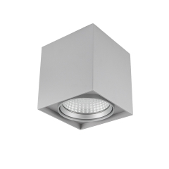 13W Decorative Surface Mount