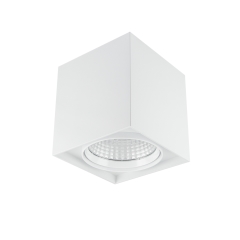 13W Decorative Surface Mount