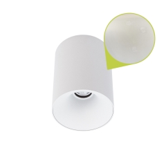 Cevon Dark Art Small Surface Mount Downlight - Blemished